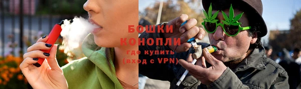 амф Бронницы
