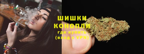 молекула духа Богородск