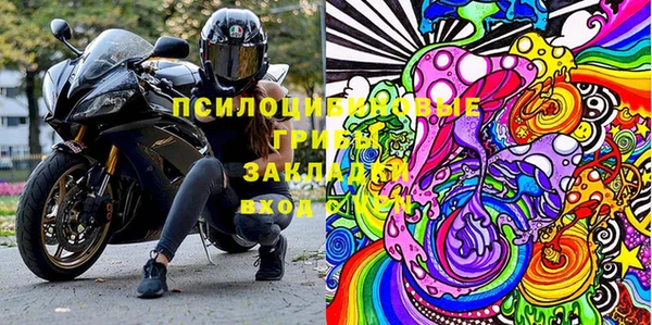 молекула духа Богородск